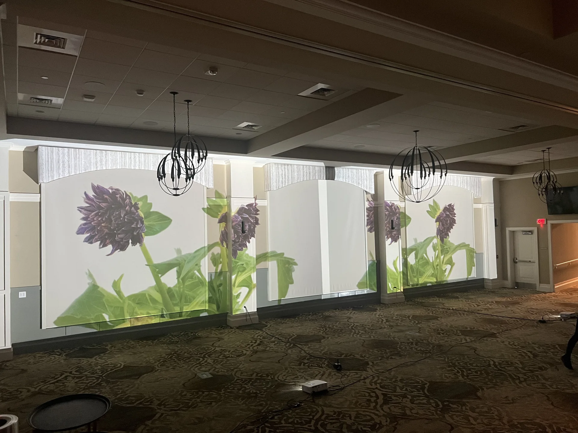 Floral imagery projected across dividing panels in a large conference room