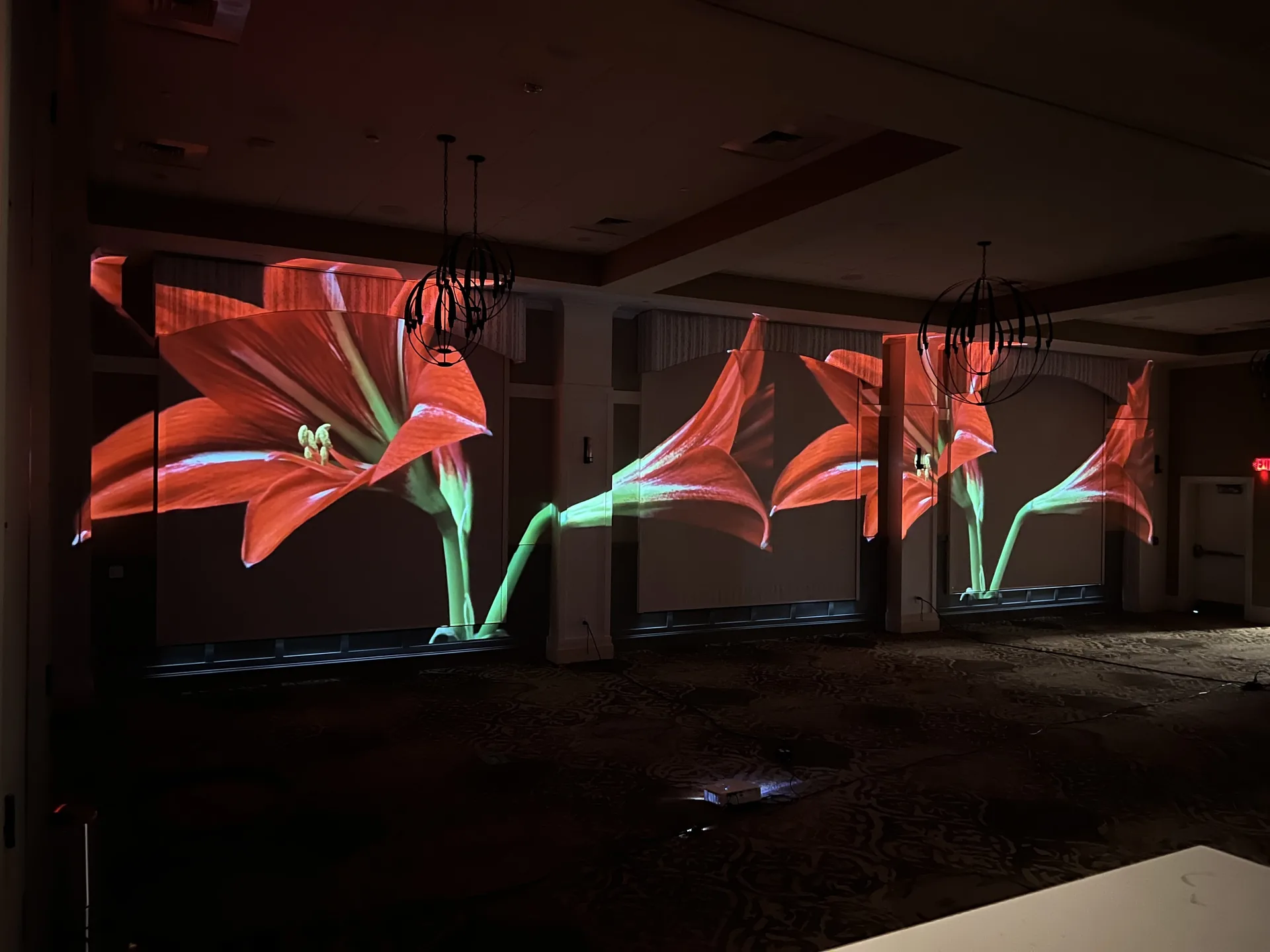 Large floral projections on the walls of a dimly lit event room with red lilies